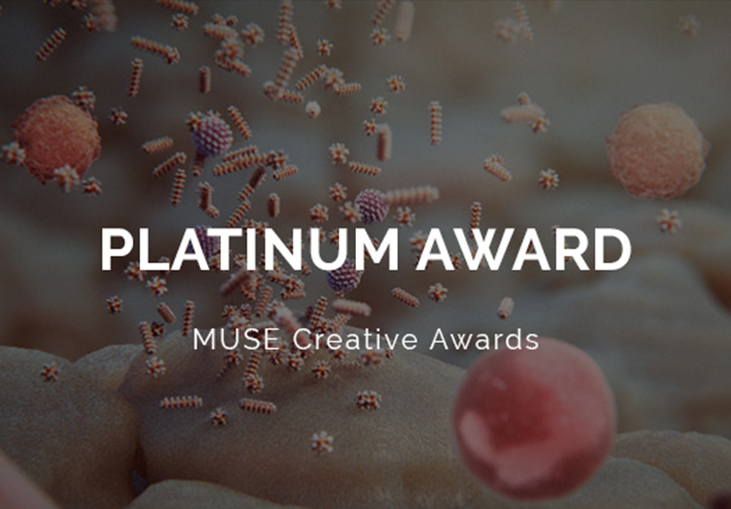 Random42 Honoured With A Platinum Award At The 020 MUSE Creative Awards!